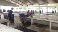Pemko Pekanbaru Benahi Pasar Higienis untuk Tampung Pedagang Teratai
