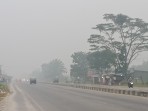 Kabut Asap Tebal Selimuti Pekanbaru dan Rimbo Panjang, Jarak Pandang Terbatas