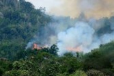 1.097 Hotspot Kepung Sumatra, Titik Api Bermunculan di Riau