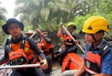 Pemuda di Dumai Hilang Diterkam Buaya saat Menyeberangi Muara Sungai Mampu