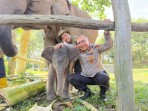 Kapolda Riau Namai Anak Gajah Betina Tesso Nilo “Nona Seroja”