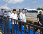 Wakili Bupati Pelalawan, Asisten Fakhrizal Hadiri GNPIP di Pekanbaru