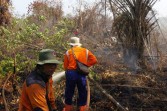 BPBDP Riau Klaim Karhutla Mulai Berkurang