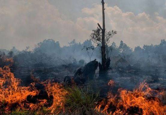 31.093 Orang di Riau Terjangkit ISPA