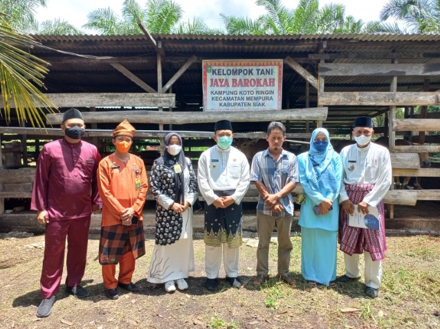 Tinjau Kelompok Tani Jaya Barokah di Koto Ringin, Wakil Bupati Siak Kampanyekan Bahaya Penyakit LSD Pada Ternak Sapi   