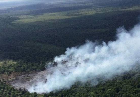 Kapolda Riau Perintahkan Usut Karhutla di Inhu dan Inhil