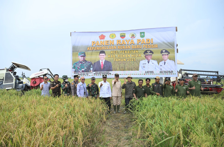 600 Hektar Padi Dipanen, Rohil Siap Jadi Lumbung Pangan Riau