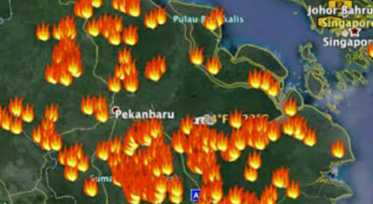 Ini Tiga Provinsi Penyumbang Titik Api Terbanyak