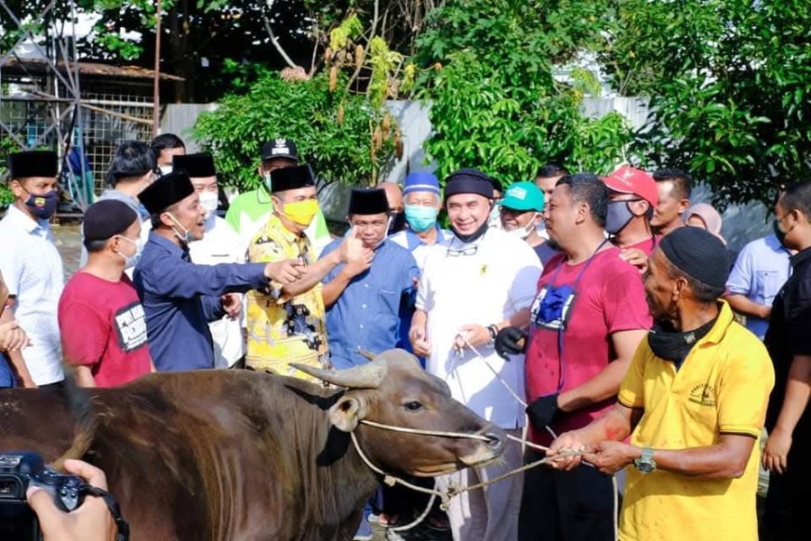 Idul Adha 1446H/2025, PWI Riau Kurban 5 Ekor Sapi 2 Kambing