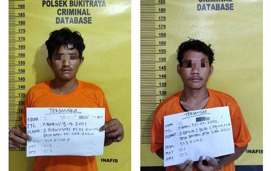 Maling 20 Sak Semen di Toko Bangunan, Dua Pria Ini Ditangkap Polisi