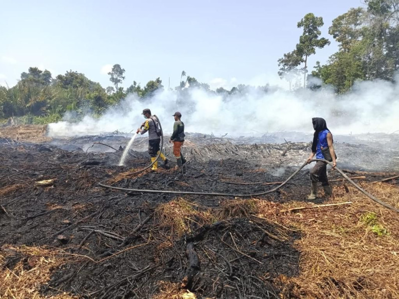 Api Berhasil Dipadamkan, Petugas Fokus Lakukan Pendinginan Lokasi Karhutla di Dumai