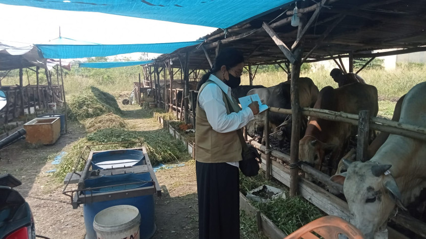 Hewan Kurban dari Luar Provinsi Riau Wajib Ada Surat Kesehatan