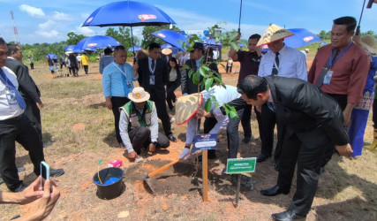 Penanaman Pohon IMT-GT GCMC Jadi Simbol Komitmen Tiga Negara Wujudkan Kota Hijau