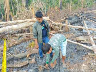 Petani di Inhu Bakar Lahan untuk Kebun, Berakhir di Jeruji Besi