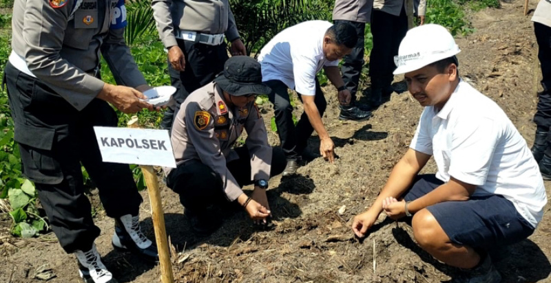 Kapolsek Kandis Bersama Upika Tanam Jagung 10 Hektar, Dukung Program Ketahanan Pangan Nasional