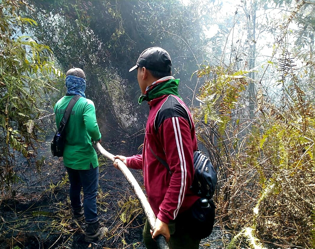 Hutan Suaka Margasatwa Giam Siak Kecil Terbakar, Api Sulit Dipadamkan