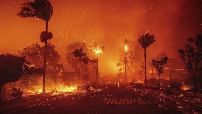 KJRI Ungkap 97 WNI Terdampak Kebakaran Hutan Los Angeles