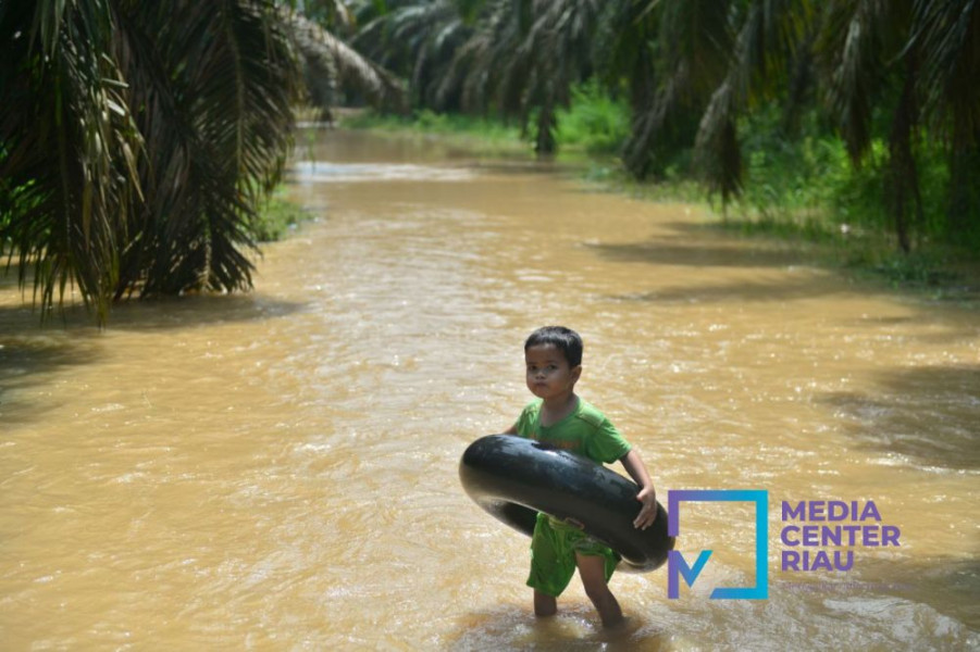 Lima Kabupaten di Riau Dilanda Banjir