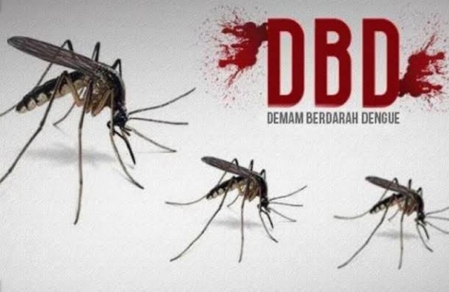 458 Kasus DBD Terjadi di Kota Pekanbaru