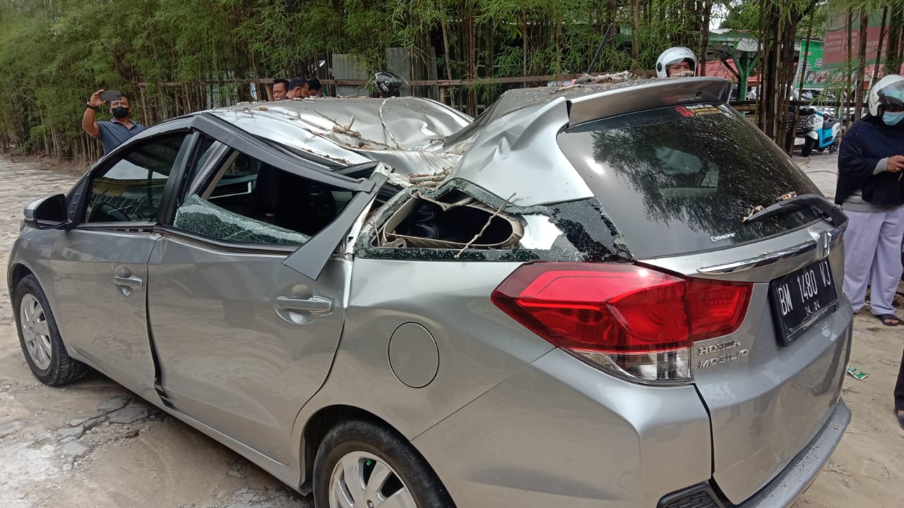 Pulang  Pengajian, Mobil Rinsek Parah Ditimpah Pohon Tua