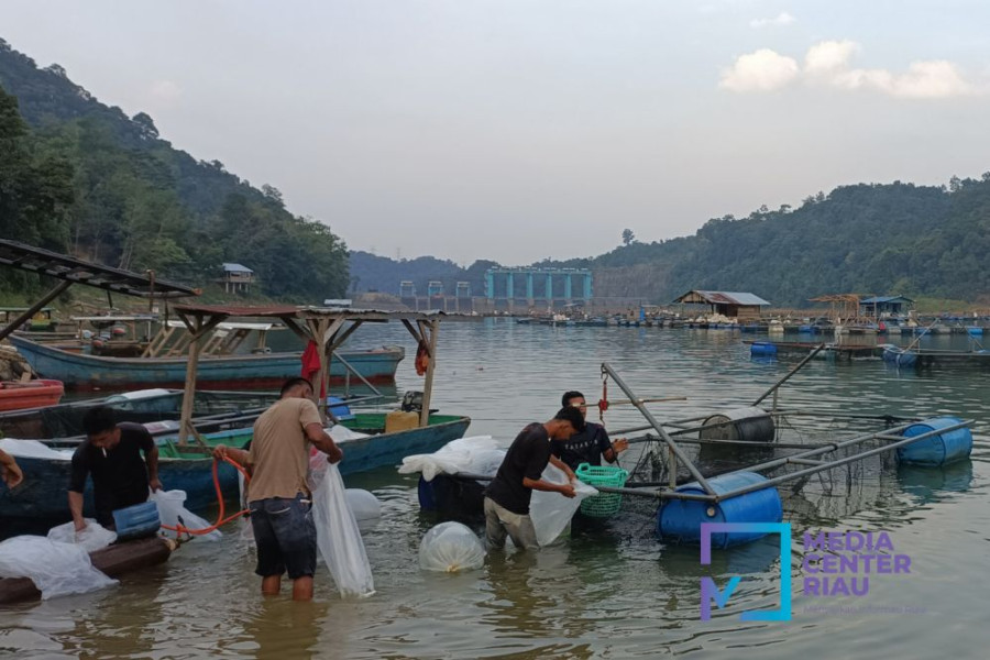 Waspada! 5 Pintu Pelimpah PLTA Koto Panjang Dibuka Setinggi 70 Cm