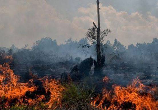 905 Hotspot Terdeteksi di Pulau Sumatra