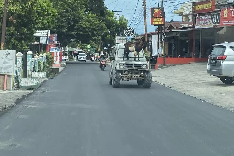 Sinergi PUPR Pekanbaru dan Pemprov Riau, Jalan Mulus, Kota Bertuah Makin Nyaman