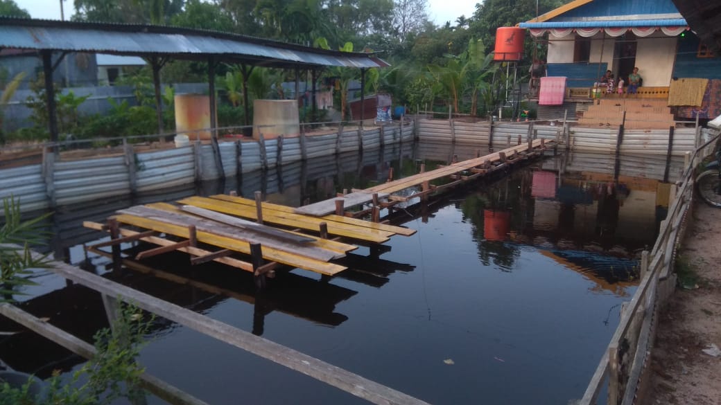 Karang Taruna Rejosari Bangun Ketahanan Pangan dan Protein di Pekanbaru 