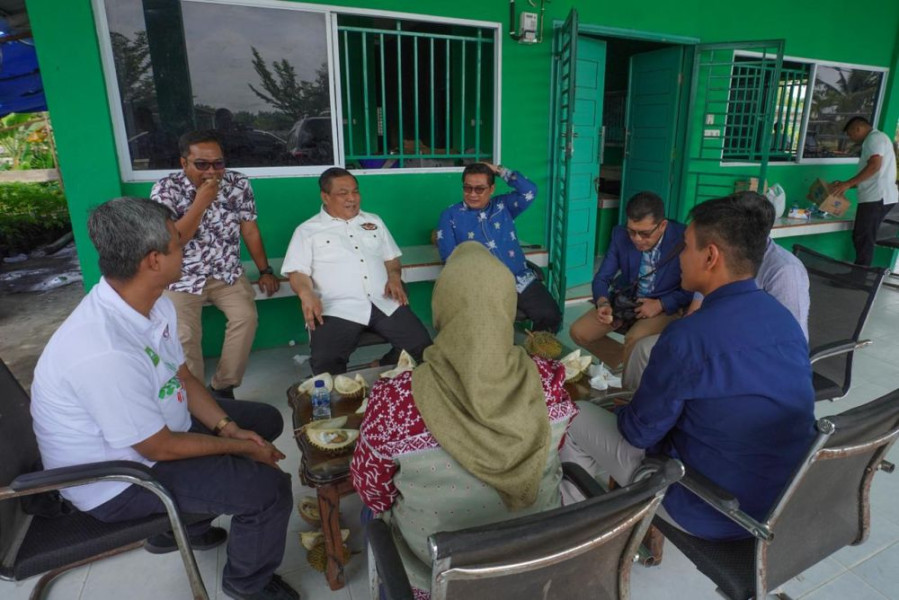 Pj Gubernur Riau Terima Audiensi Tim Kementerian dan Lembaga Kemenko Marves RI