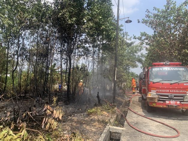 Lahan di Tanah Merah Kampar Terbakar