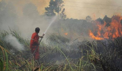 Tujuh Titik Api di Riau Sedang Dipadamkan, BPBD Kesulitan Sumber Air