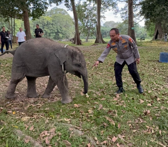Sembari Patroli, Kapolda Riau Sambangi Keluarga Gajah di Buluh Cina