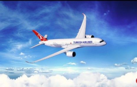Turkish Airlines Mendarat Darurat setelah Pilot Meninggal Dunia dalam Penerbangan