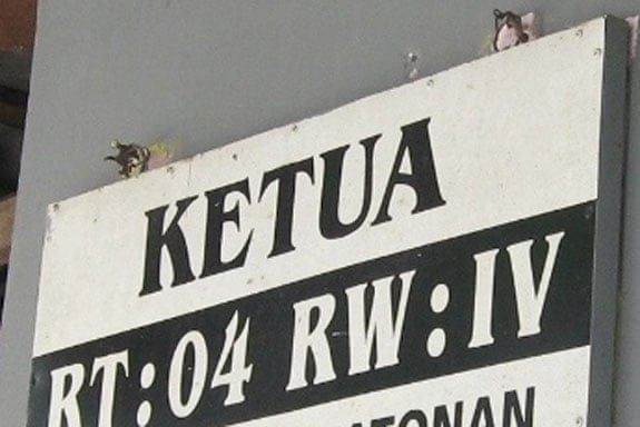 Desakan Pemilihan RT/RW, Pemko Pekanbaru Akan Revisi Perwako