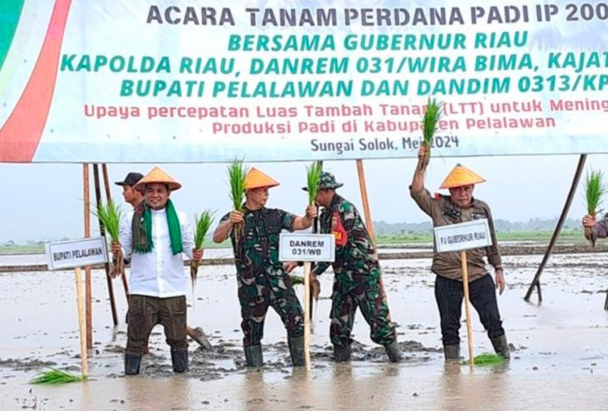 Tahun Ini Pemkab Pelalawan Bangun Tanggul untuk Mendukung Program Padi IP 2000