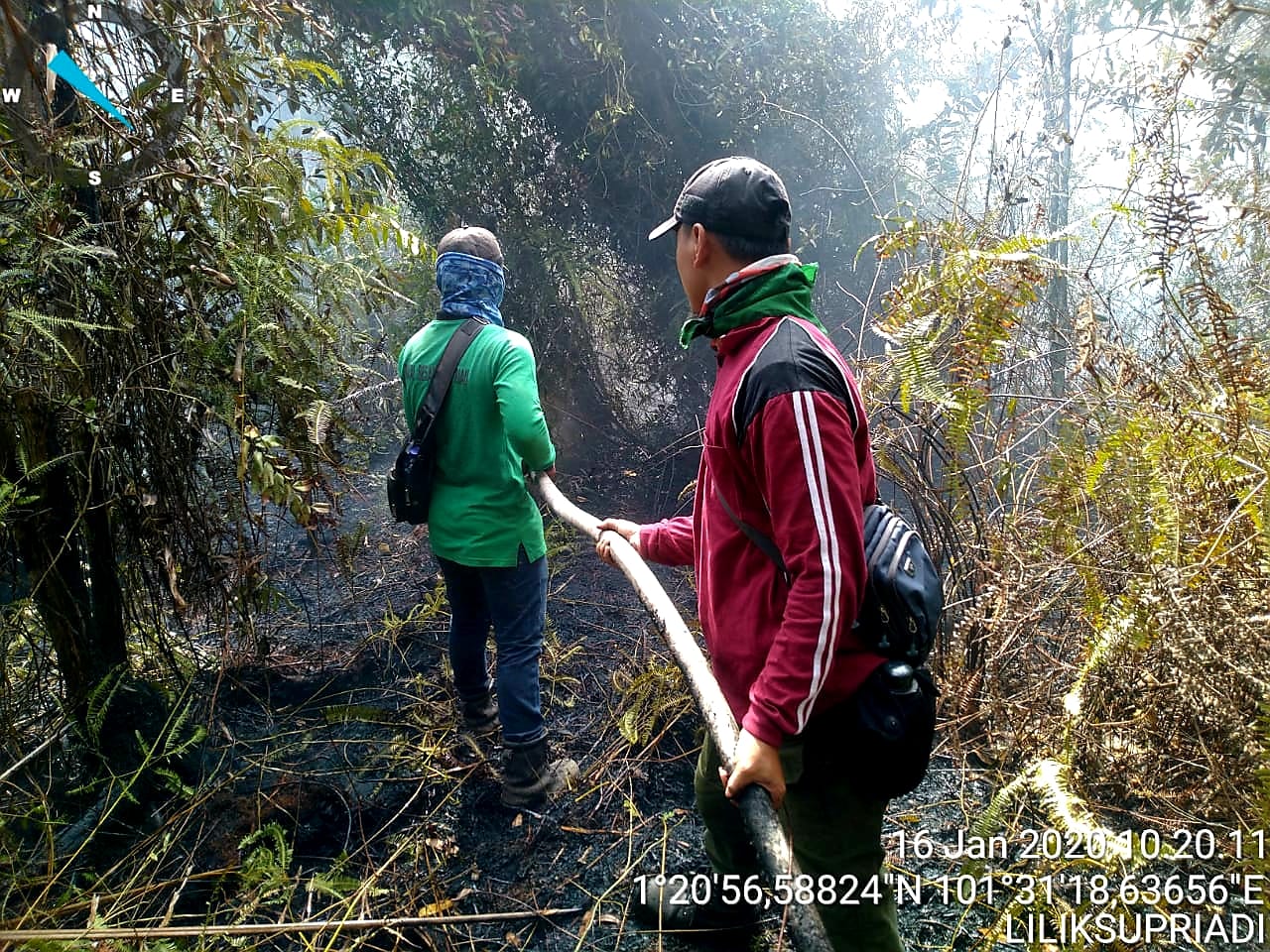 10 Hektar Suaka Margasatwa  Giam Siak Kecil  Terbakar