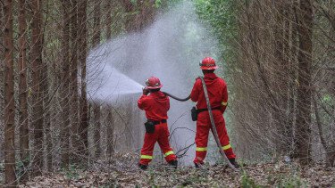BNPB Kerahkan 5.929 Personel Padamkan Kebakaran Hutan 5 Provinsi