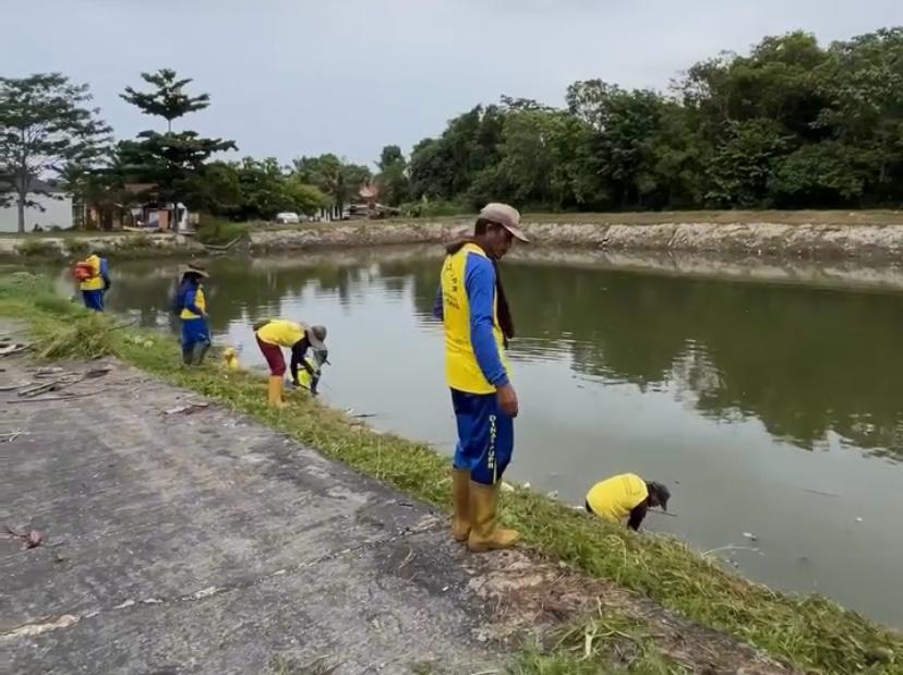 Pasukan Kuning Dinas PUPR Kota Pekanbaru Bersihkan Rumput Liar di Sekitar Waduk Cipta Karya untuk Antisipasi Banjir