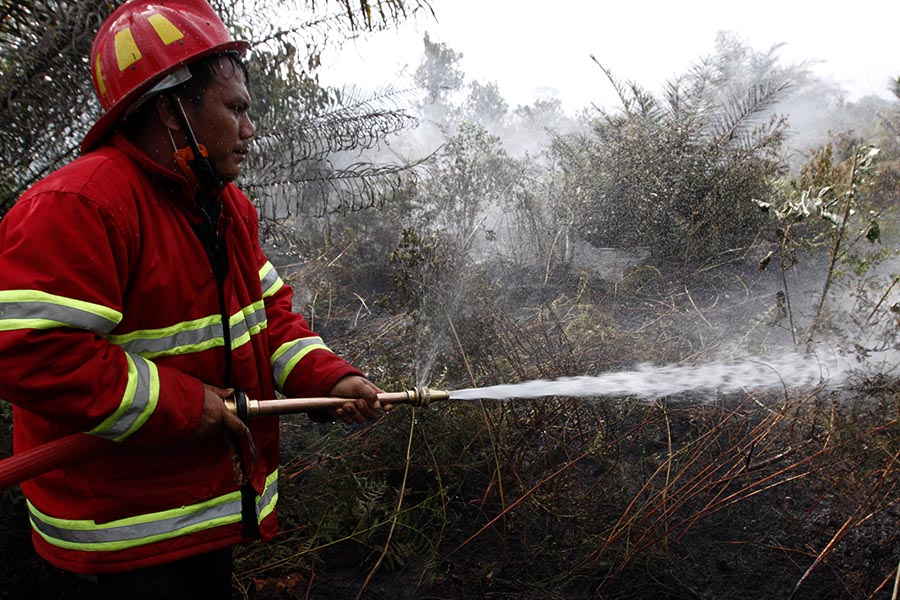 H+1 Lebaran, Ratusan Petugas Masih Berjibaku Padamkan Kebakaran Lahan di Dumai