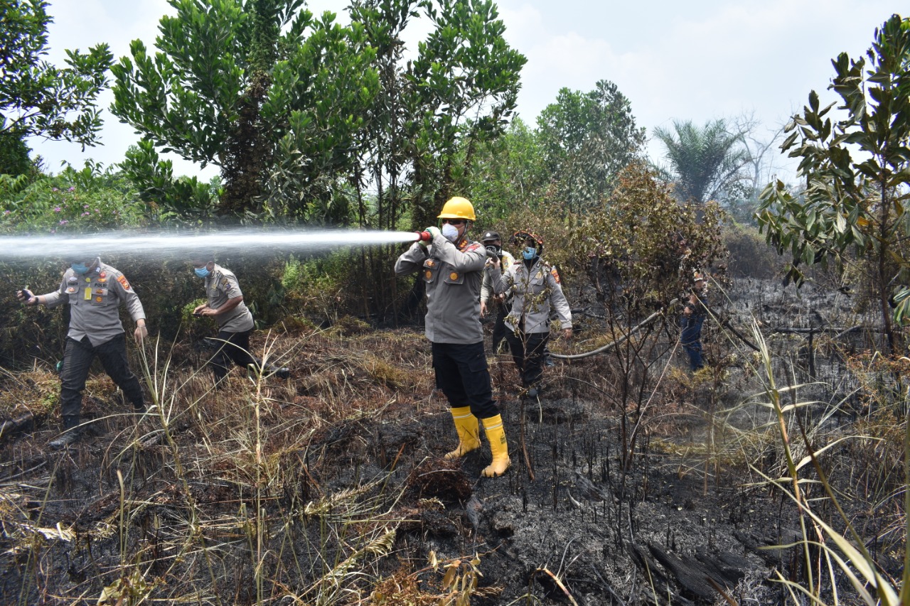 Kapolresta Berjibaku Padamkan Api di Rumbai 