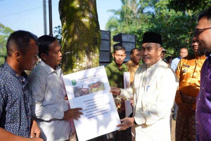 Gubernur Riau Serahkan Bantuan Hewan Ternak di Rohil
