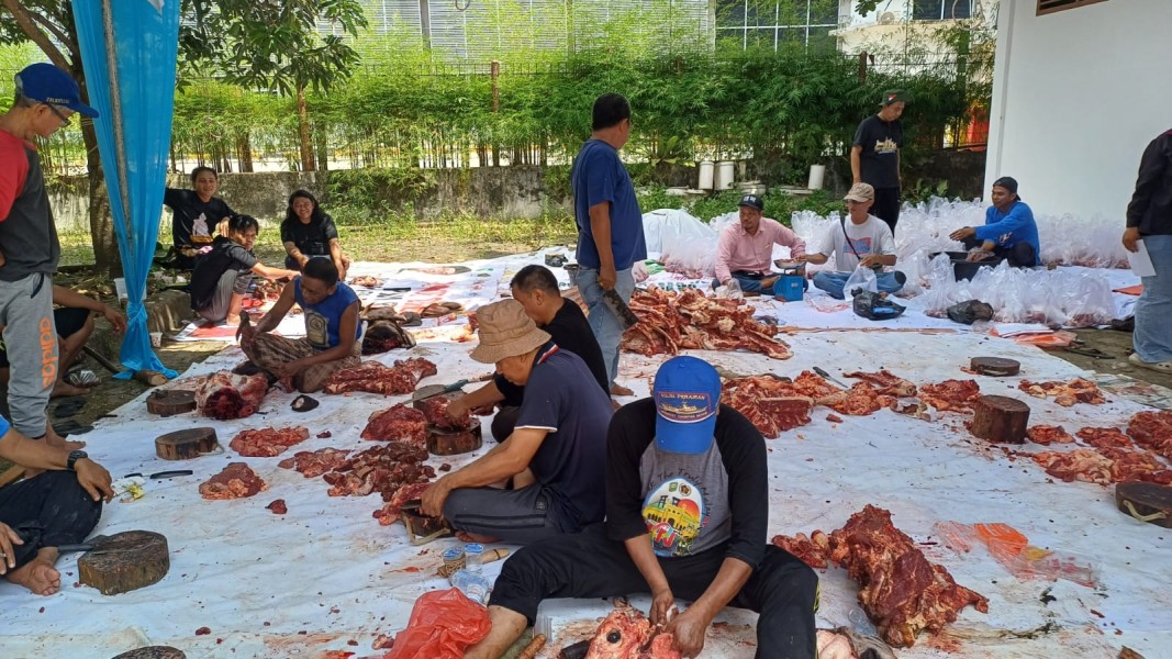 PWI Riau Gelar Pemotongan Hewan Kurban Idul adha 1447 Hijriah