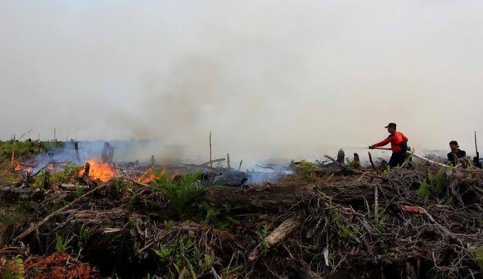 BPBD Pekanbaru Sudah Catat 36 Kasus Kebakaran Lahan