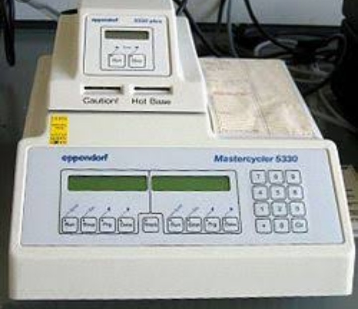 Seluk Beluk PCR, Tes yang Disebut Lebih Akurat Deteksi Corona