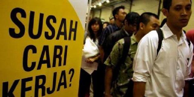 Waduh! Angka Pengangguran Terbuka di Riau Capai 135 Ribu, Ini Faktor Penyebabnya