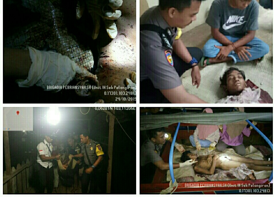 Lagi Kerja, Pria Asal Aceh Tewas Diseret Harimau