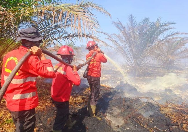 9 Daerah di Riau Tetapkan Status Siaga Darurat Karhutla 2024