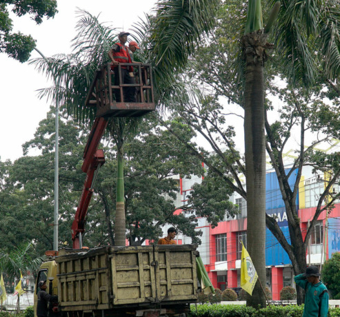 DLHK Pekanbaru Belum Ajukan Penambahan Armada Pemangkas Pohon