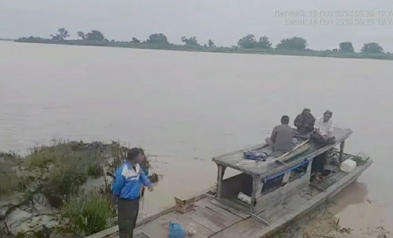 Nelayan di Rohil Tewas Diterkam Buaya saat Mencari Ikan