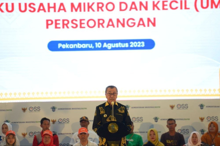 Pertumbuhan Ekonomi Riau Naik, Gubri: Termasuk Andil dari UMKM